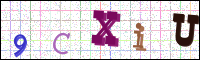 Image Verification